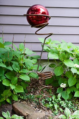 Image11
